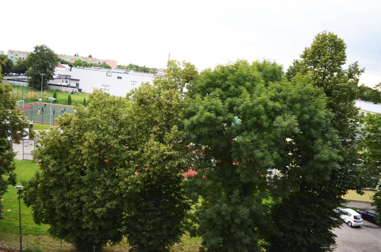 Blue_Loft Apartment Sandomierz Luaran gambar