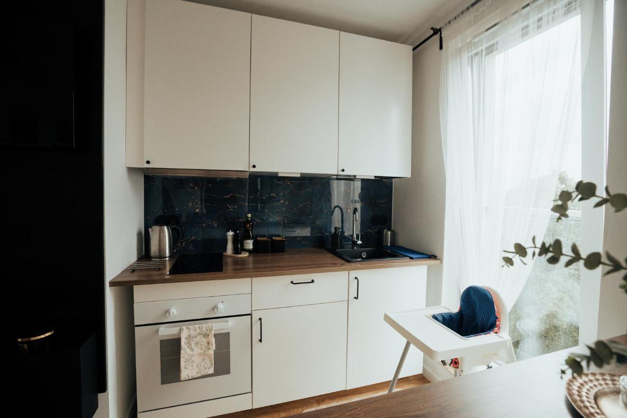 Blue_Loft Apartment Sandomierz Luaran gambar