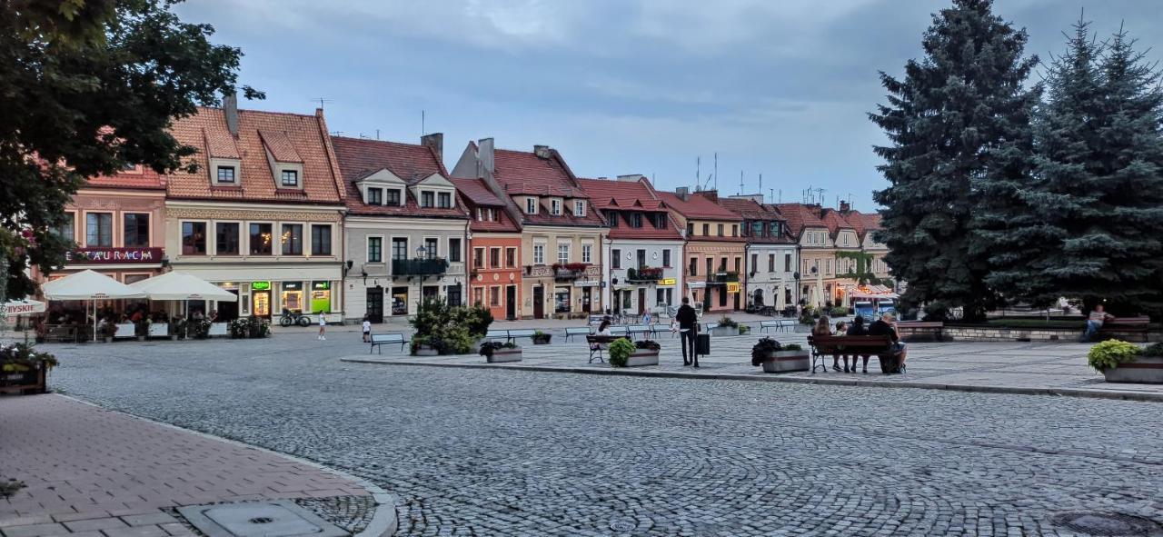 Blue_Loft Apartment Sandomierz Luaran gambar