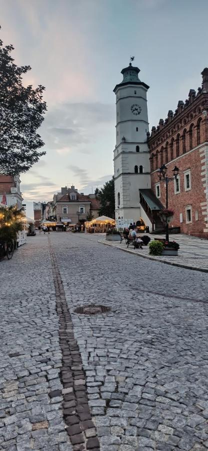 Blue_Loft Apartment Sandomierz Luaran gambar